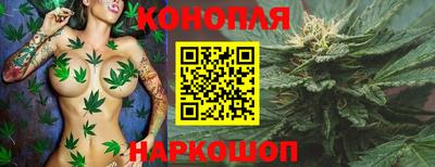 прущие грибы Лесосибирск