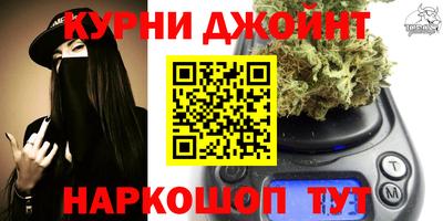 гашик Ливны