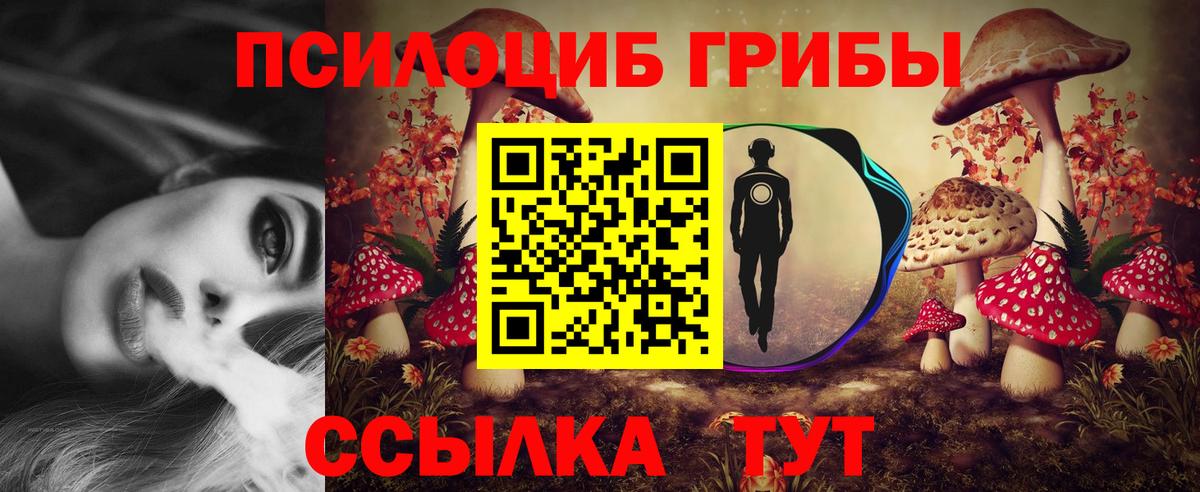 Галлюциногенные грибы Psilocybe  Вход с VPN  Выборг 