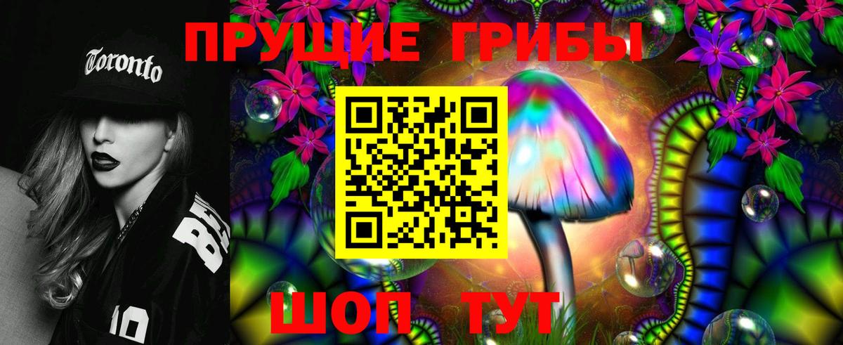 Галлюциногенные грибы Psilocybe Выборг